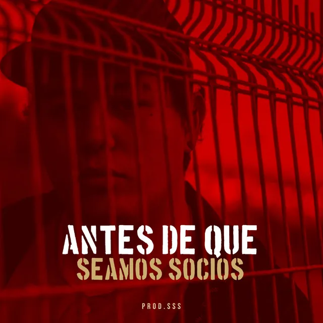 Antes de Que Seamos Socios