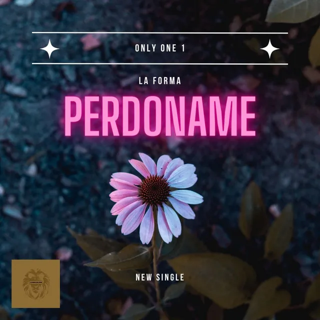 PERDONAME