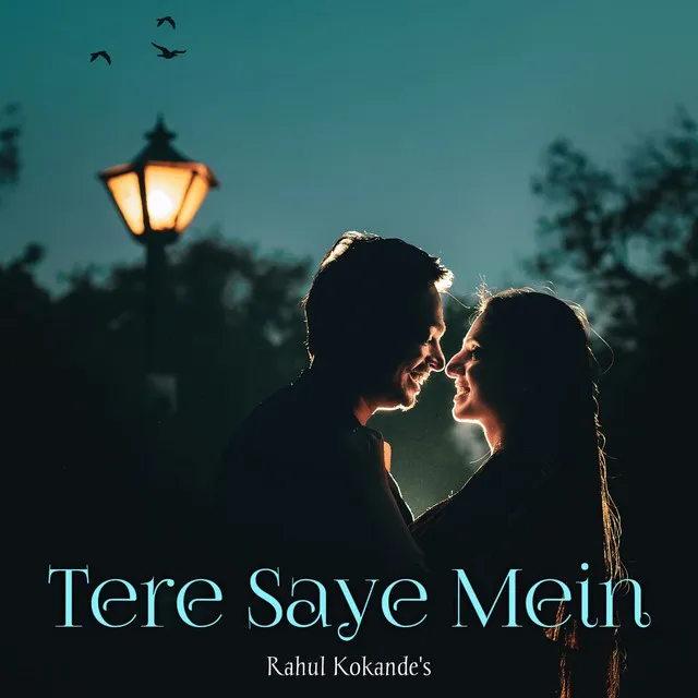 Tere Saye Mein