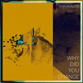 WHY DID YOU CHANGE by Marvin Aloys