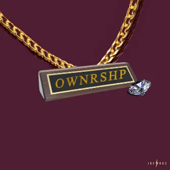 OWNRSHP by Joe Roc