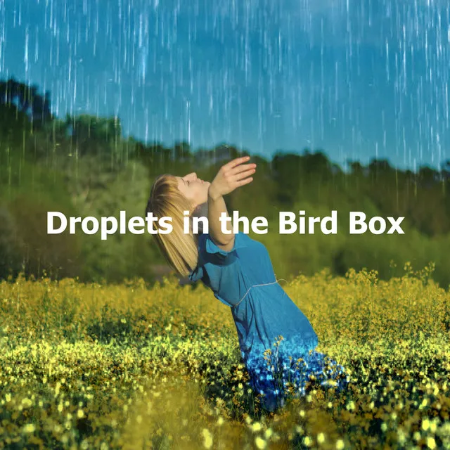 Droplets in the Bird Box