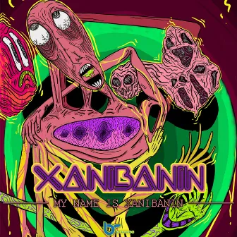 My Name Is Xanibanin by Xanibanin