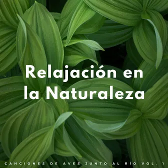 Relajación En La Naturaleza: Canciones De Aves Junto Al Río Vol. 1 by Sonidos de pájaros de la naturaleza