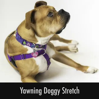 Yawning Doggy Stretch by Calming Doggy Sleep