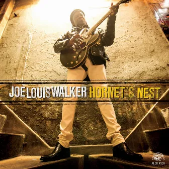 Hornet's Nest by Joe Louis Walker