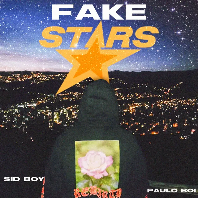 Fake Stars