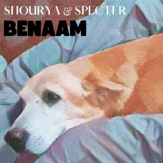 Benaam by Specter