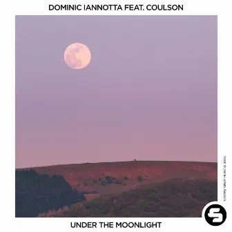 Under the Moonlight by Dominic Iannotta