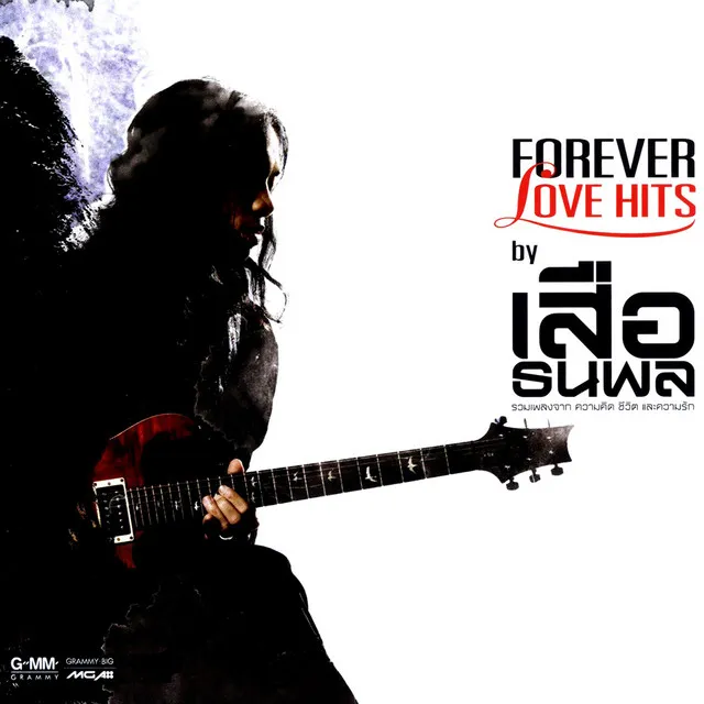 FOREVER LOVE HITS by เสือ ธนพล