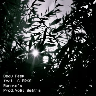 Ronnie's by Beau Peep