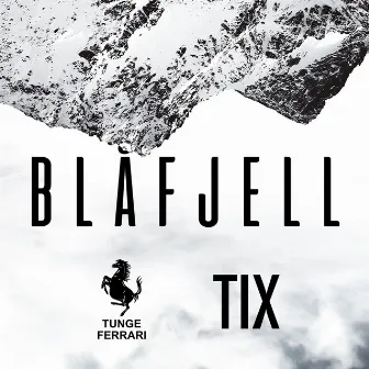 Blåfjell 2018 by Unknown Artist