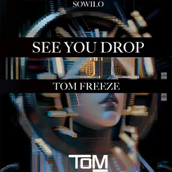 See You Drop (Radio Edit) by Tom Freeze