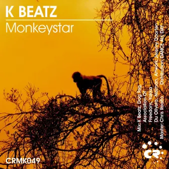 Monkeystar by K Beatz