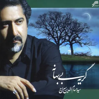 Gerye-Ye Bi Bahaneh(Crying without Pretext)-Persian Traditional Music by Hesamedin Seraj