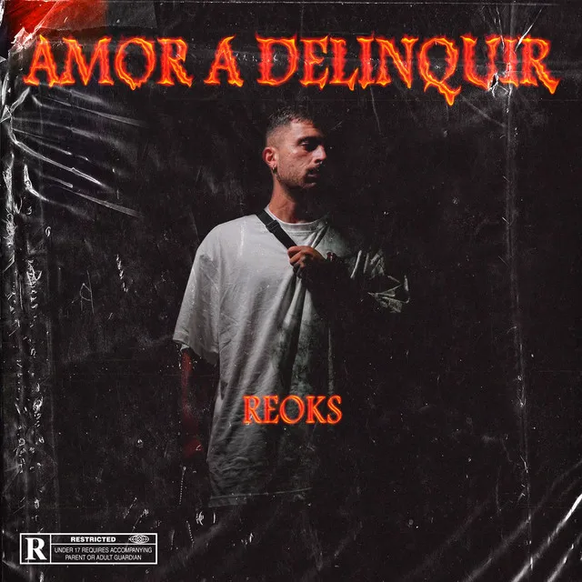 Amor a delinquir