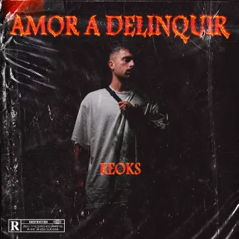 Amor a delinquir by Reoks