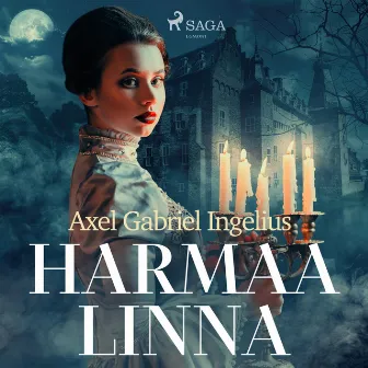 Harmaa linna by Axel Gabriel Ingelius