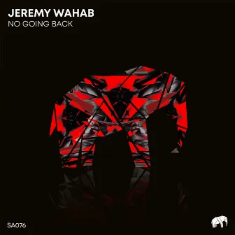 No Going Back by Jeremy Wahab