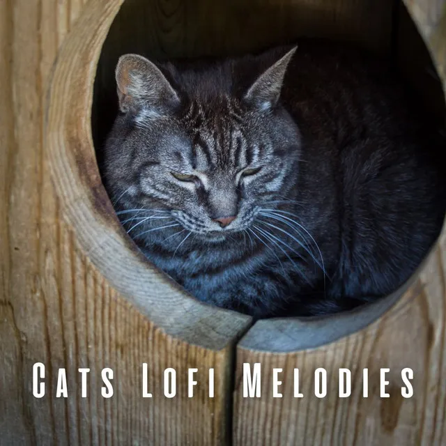 Cats Lofi Melodies: Ambient Sounds for Feline Bliss