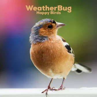 Happy Birds by WeatherBug