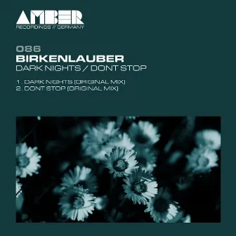 Dark Nights / Dont Stop by birkenlauber