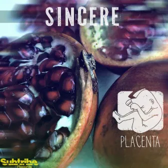 Sincere by Placenta