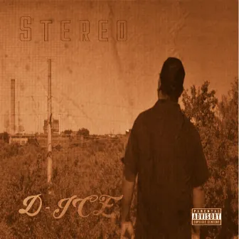 Stereo by D-ICE