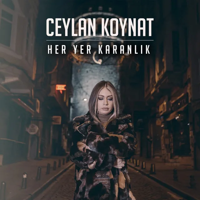 Her Yer Karanlık - Remix