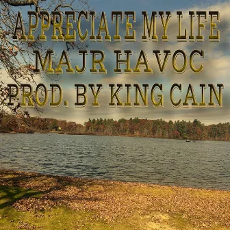 Appreciate My Life by Majr Havoc