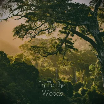 In to the Woods by Saritha Edirisinghe