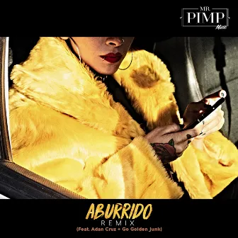 Aburrido (Remix) by Mr. Pimp Music