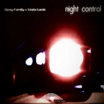 Night Control by Linda Lamb