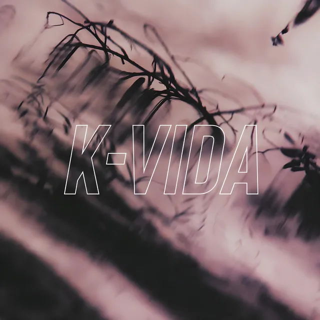 K-VIDA