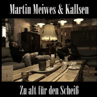 Zu Alt Für Den Scheiß by Martin Meiwes