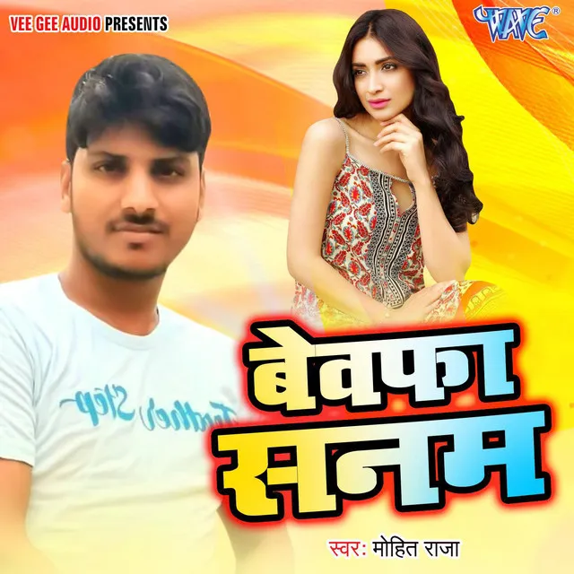 Bewafa Sanam - Mohit Raja