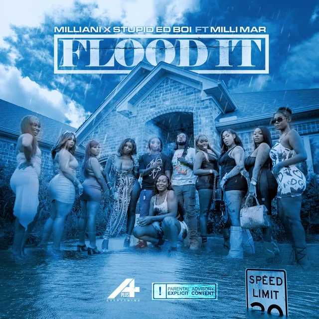 FLOOD IT