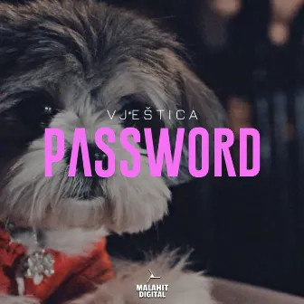 Password by Vjestica