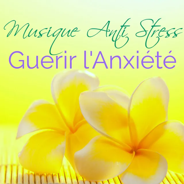 Musique Anti Stress pour Guérir l'Anxiété – Remède Naturel contre le Stress, Musicothérapie pour Sophrologie et Relaxation Profond, Soulagement du Stress après une Longue Journée