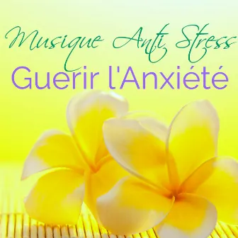 Musique Anti Stress pour Guérir l'Anxiété – Remède Naturel contre le Stress, Musicothérapie pour Sophrologie et Relaxation Profond, Soulagement du Stress après une Longue Journée by Stress Relief