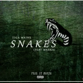 Snakes (Radio Edit) by Tiga Maine