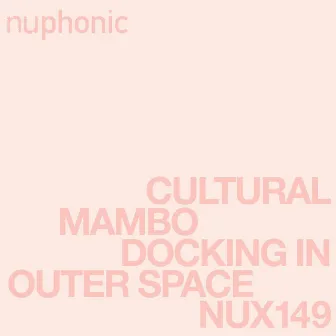 Docking In Outer Space by Cultural Mambo