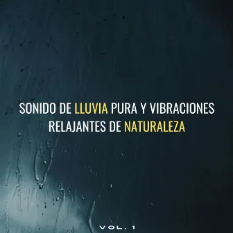 Sonido De Lluvia Pura Y Vibraciones Relajantes De Naturaleza Vol. 1 by Alivio del estrés calmado