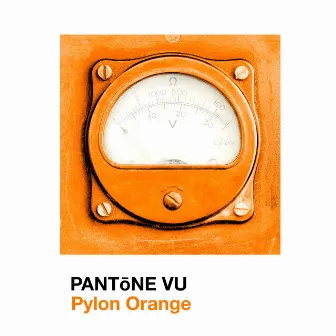 Pylon Orange by PANTōNE VU