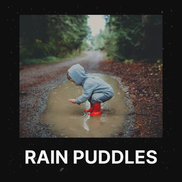 Rain Puddles