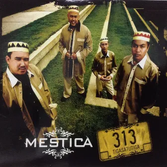 313 by Mestica