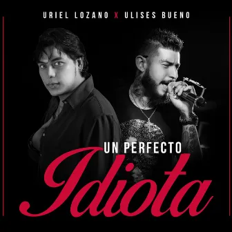 Un Perfecto Idiota by Uriel Lozano