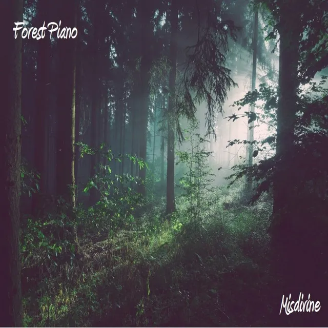 Forest Piano