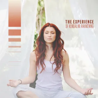 The Experience of Kundalini Awakening by System for Chakra