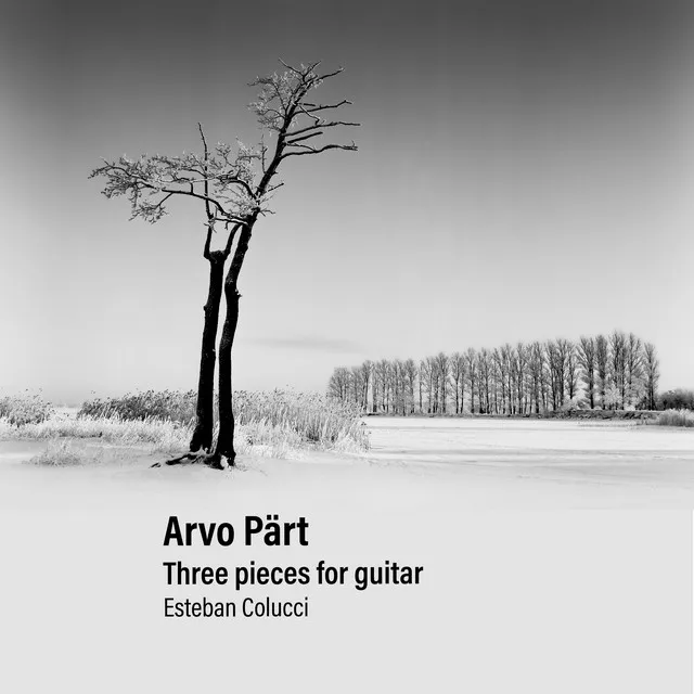 Arvo Pärt - Three Pieces for Guitar -Varations for the healing Arinushka